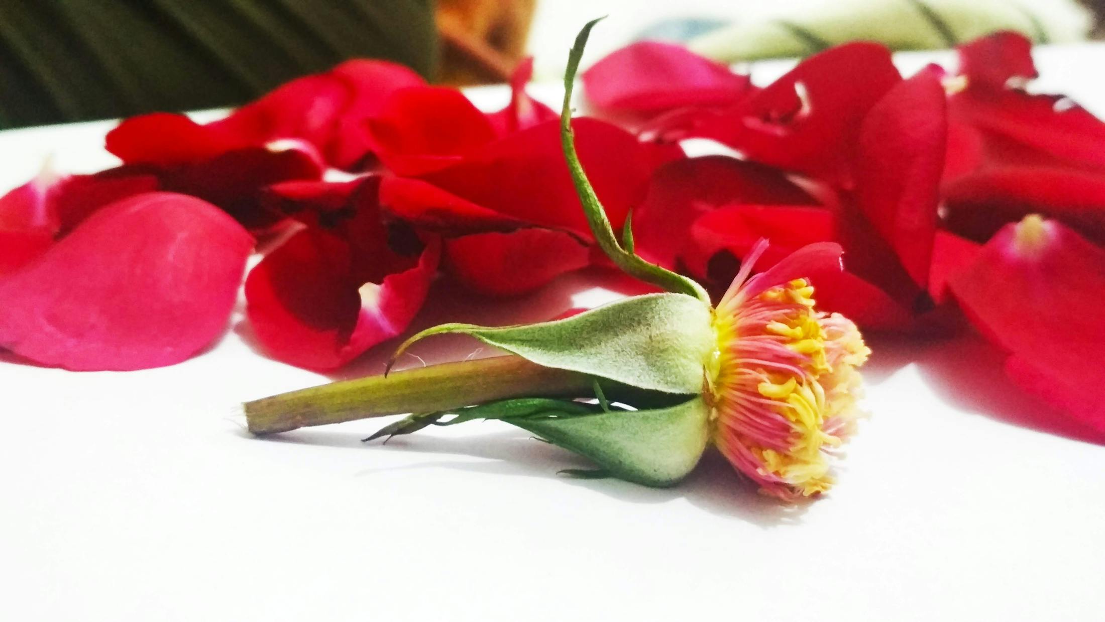 Hair extension tools used for consultation planning